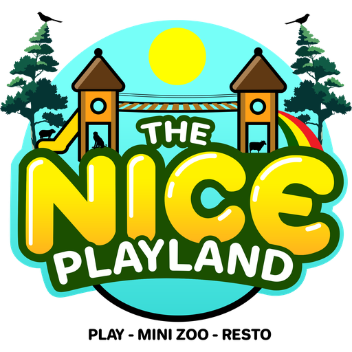 THE NICE PLAYLAND